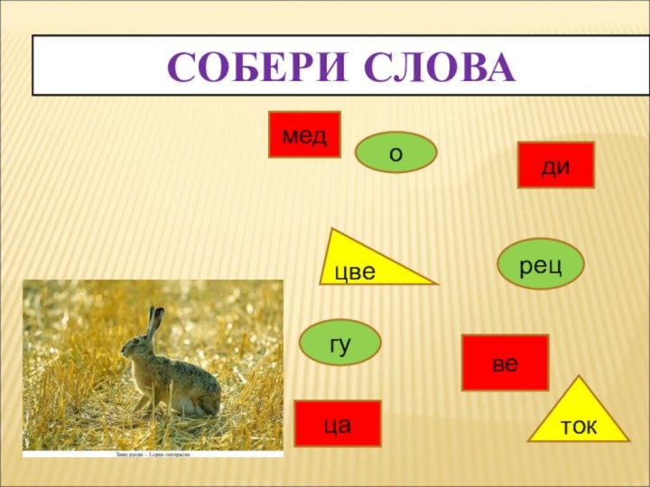 СОБЕРИ СЛОВАдивецамедогуреццветок