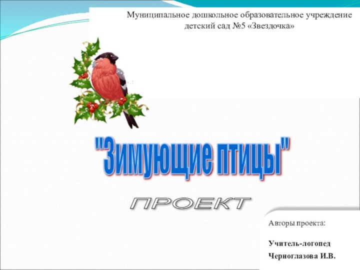 Муниципальное дошкольное образовательное учреждениедетский сад №5 «Звездочка»