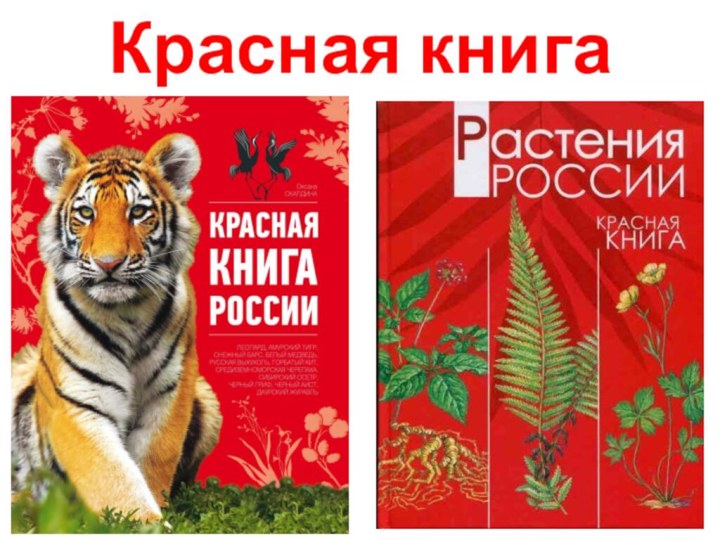 Красная книга