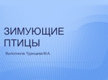 Презентация Зимующие птицы презентация к уроку по окружающему миру (старшая группа)