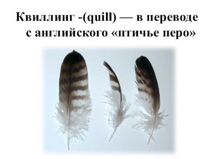 Квиллинг -(quill) — в переводе с английского «птичье перо»