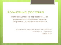 Комнатные растения — спутники нашей жизни презентация к уроку по окружающему миру (подготовительная группа)