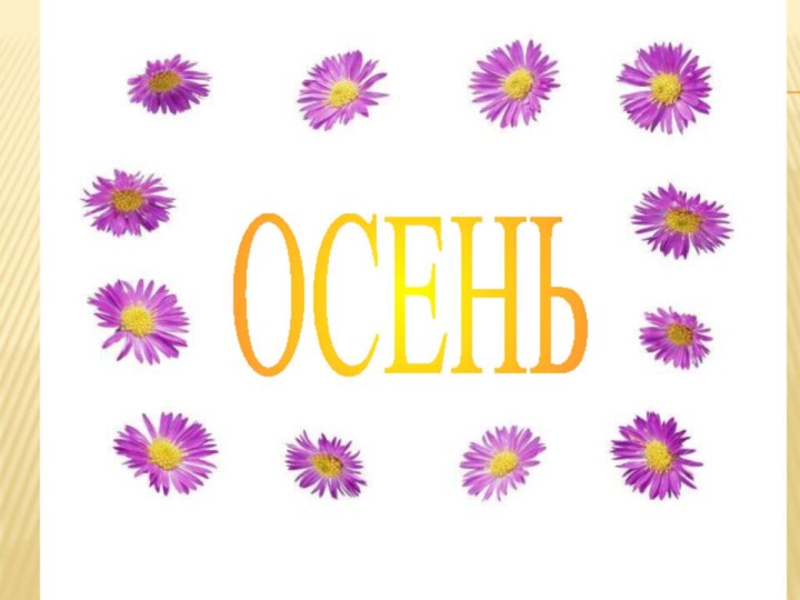 ОСЕНЬПоздняя осень.