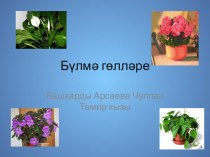 Тикшерү эше Бүлмә гөлләре опыты и эксперименты (4 класс)