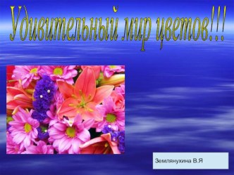 Мир цветов презентация к уроку
