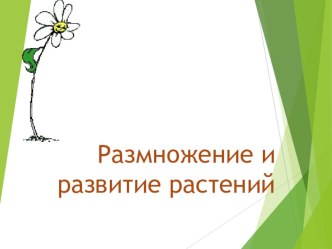 Презентация Размножение и развитие растений презентация к уроку по окружающему миру (3 класс)