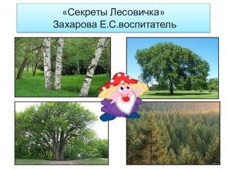 Конспект образовательной деятельности по формированию у старших дошкольников представлений о росте и развитии растений Секреты Лесовичка план-конспект занятия по окружающему миру (старшая группа)