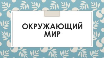 13 prezent okr kakie byvayut rasteniya