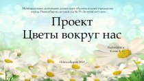 Проект Путешествие в царство цветов проект (средняя группа)