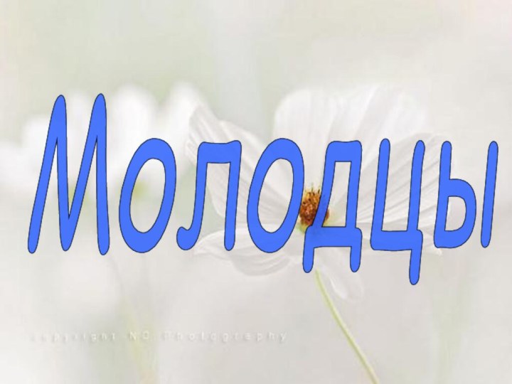 Молодцы