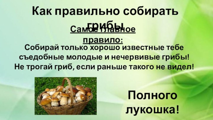 Как правильно собирать грибыСамое главное правило:Собирай только хорошо известные тебе съедобные молодые