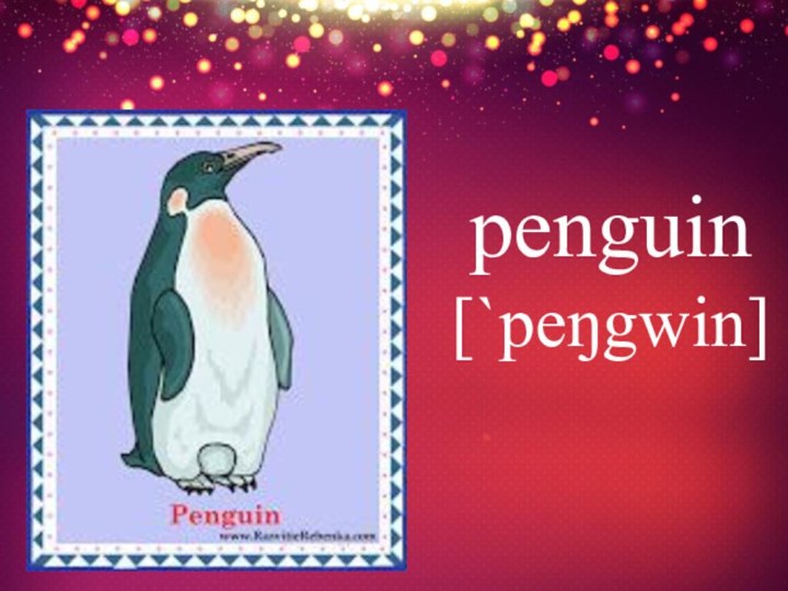 penguin [`peŋgwin]