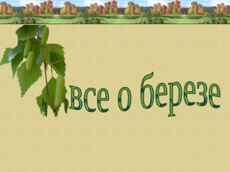 Презентация Все о березе для НОД Люблю березку русскую презентация к занятию по окружающему миру (старшая группа) по теме