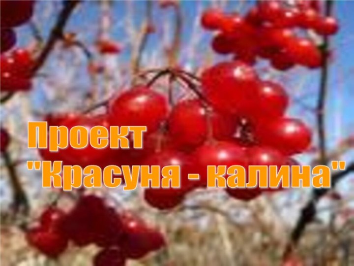 Проект  