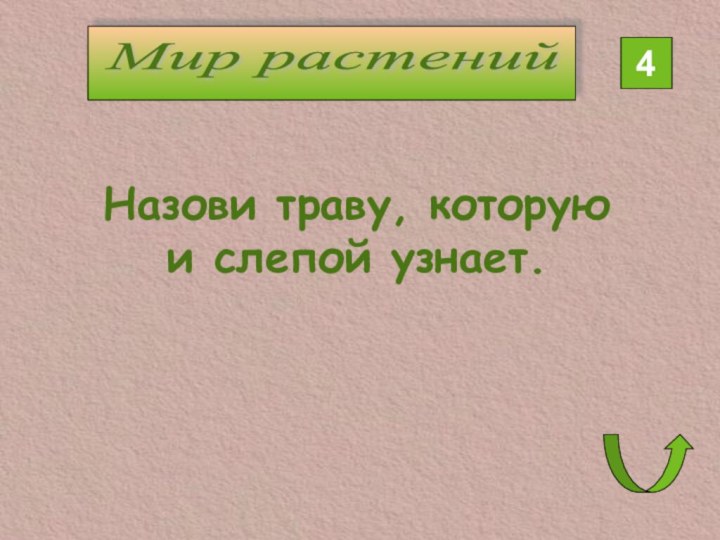 Мир растений 4Назови траву, которую и слепой узнает.