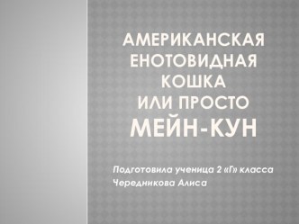 Проектная работа Американская енотовидная кошка проект по окружающему миру (2 класс)