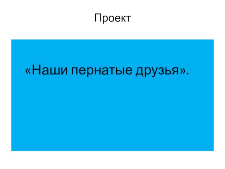 Проект «Наши пернатые друзья».