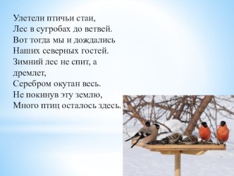 Презентация Где зимуют птицы? презентация к уроку по окружающему миру (1 класс)