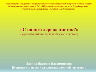 План-конспект НОД Осень в гости к нам пришла методическая разработка по окружающему миру (младшая группа)