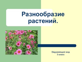 Методическая разработка к урокуОкружающий мир, 3 класс, тема Многообразие растений методическая разработка по окружающему миру (3 класс)