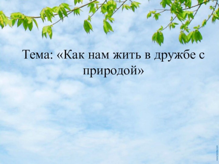 Тема: «Как нам жить в дружбе с природой»