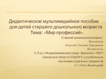 Дидактическое мультимедийное пособие Мир Профессий презентация к занятию по окружающему миру (старшая группа)