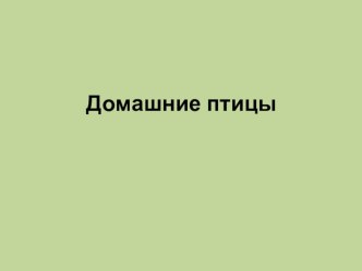 Презентация к нод по развитию речи в старшей группе :Домашние птицы презентация к уроку по развитию речи (старшая группа)