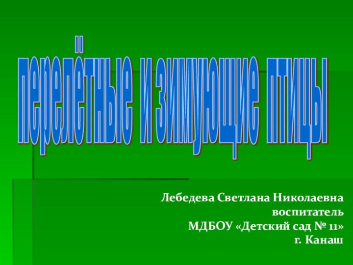 перелётные и зимующие птицы Лебедева Светлана Николаевнавоспитатель МДБОУ «Детский сад № 11»г. Канаш