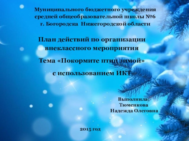 Муниципального бюджетного учреждения средней общеобразовательной школы №6 г. Богородска Нижегородской области