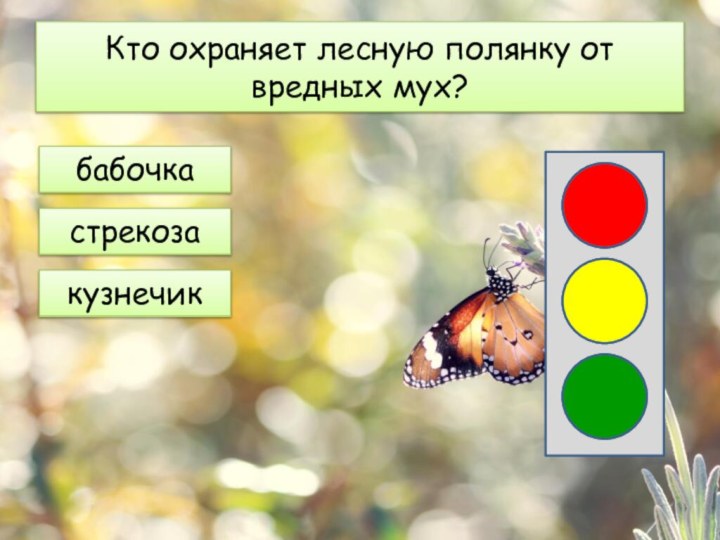 Кто охраняет лесную полянку от вредных мух?бабочкастрекозакузнечик