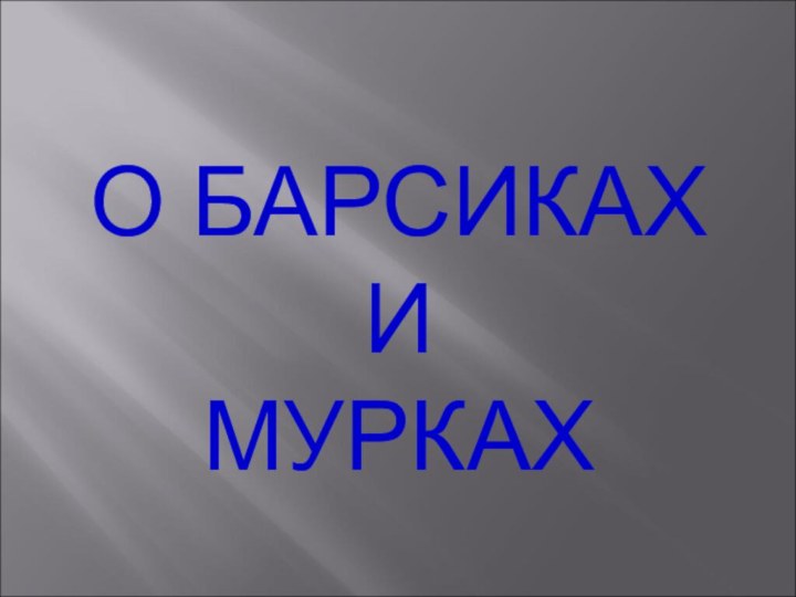 О БАРСИКАХ   И