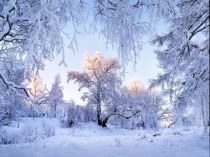 Красивые камни в нашем доме. Окружающий мир план-конспект урока по окружающему миру (1 класс)