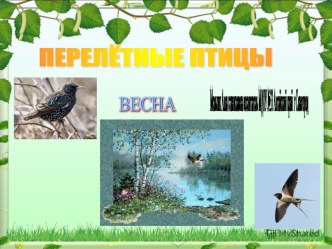 Весна перелётные птицы презентация по окружающему миру