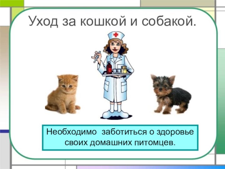 Уход за кошкой и собакой.Необходимо заботиться о здоровьесвоих домашних питомцев.