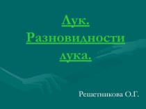 Лук, разновидности лука. презентация к уроку по окружающему миру (средняя группа)