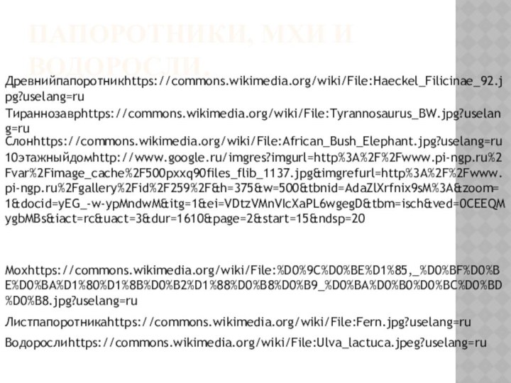 Папоротники, мхи и водоросли.Древнийпапоротникhttps://commons.wikimedia.org/wiki/File:Haeckel_Filicinae_92.jpg?uselang=ruТираннозаврhttps://commons.wikimedia.org/wiki/File:Tyrannosaurus_BW.jpg?uselang=ruСлонhttps://commons.wikimedia.org/wiki/File:African_Bush_Elephant.jpg?uselang=ru10этажныйдомhttp://www.google.ru/imgres?imgurl=http%3A%2F%2Fwww.pi-ngp.ru%2Fvar%2Fimage_cache%2F500pxxq90files_flib_1137.jpg&imgrefurl=http%3A%2F%2Fwww.pi-ngp.ru%2Fgallery%2Fid%2F259%2F&h=375&w=500&tbnid=AdaZlXrfnix9sM%3A&zoom=1&docid=yEG_-w-ypMndwM&itg=1&ei=VDtzVMnVIcXaPL6wgegD&tbm=isch&ved=0CEEQMygbMBs&iact=rc&uact=3&dur=1610&page=2&start=15&ndsp=20Мохhttps://commons.wikimedia.org/wiki/File:%D0%9C%D0%BE%D1%85,_%D0%BF%D0%BE%D0%BA%D1%80%D1%8B%D0%B2%D1%88%D0%B8%D0%B9_%D0%BA%D0%B0%D0%BC%D0%BD%D0%B8.jpg?uselang=ruЛистпапоротникаhttps://commons.wikimedia.org/wiki/File:Fern.jpg?uselang=ruВодорослиhttps://commons.wikimedia.org/wiki/File:Ulva_lactuca.jpeg?uselang=ru