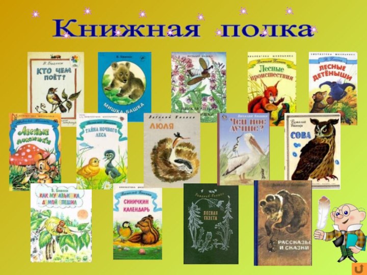 Книжная полка