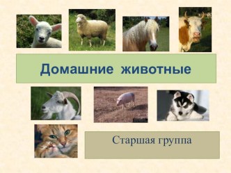 Презентация Домашние животные презентация к уроку по окружающему миру (старшая группа)