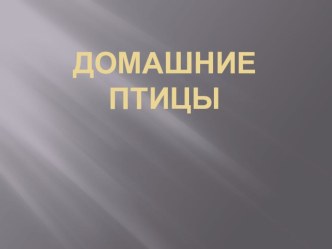 презентация Домашние птицы презентация к уроку по окружающему миру по теме