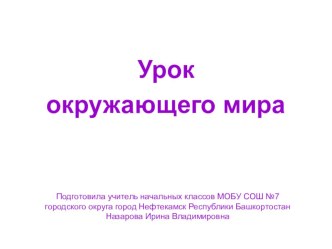 Презентация Мир профессий. презентация к уроку по окружающему миру (1 класс) по теме