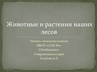 Презентация Животные и растения наших лесов презентация к уроку по окружающему миру (4 класс)