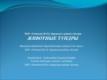 Презентация к уроку Тундра. презентация к уроку по окружающему миру (4 класс)