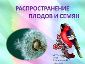 Распространение плодов и семян. презентация к уроку по окружающему миру (подготовительная группа)