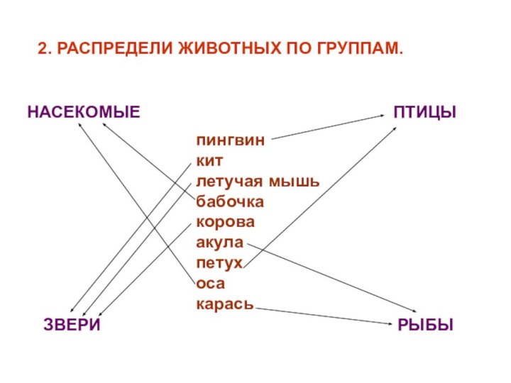 2. РАСПРЕДЕЛИ ЖИВОТНЫХ ПО ГРУППАМ.РЫБЫЗВЕРИПТИЦЫНАСЕКОМЫЕпингвинкитлетучая мышьбабочкакороваакулапетухосакарась