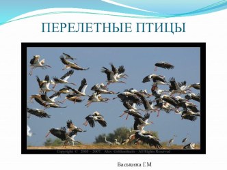 Презентация:Перелетные птицы презентация к уроку по окружающему миру (старшая группа)