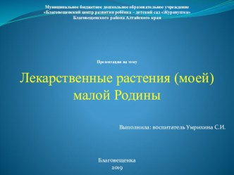 Исследовательская работа Лекарственные растения (моей) малой Родины презентация к уроку по окружающему миру (подготовительная группа)