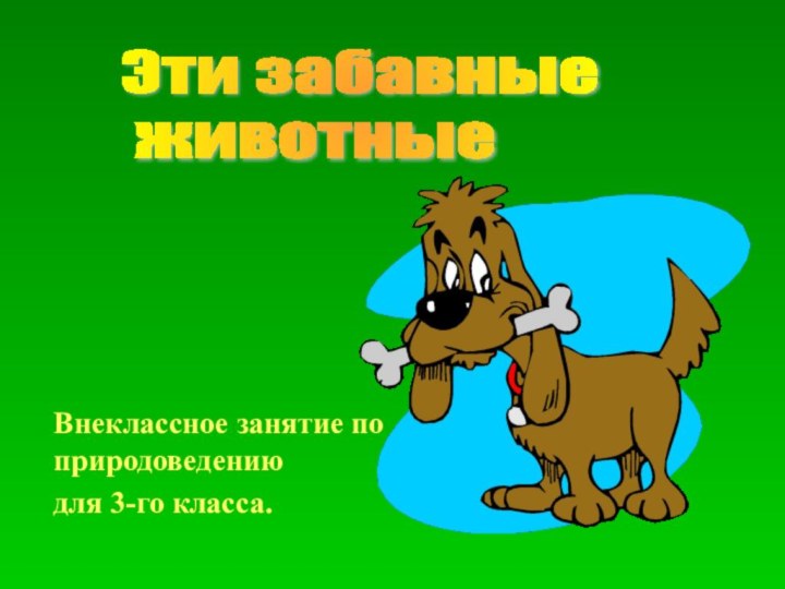 Внеклассное занятие по природоведению для 3-го класса. Эти забавные   животные