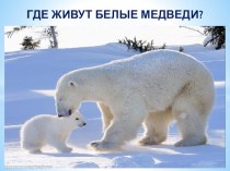 Где живут белые медведи? план-конспект урока по окружающему миру (1 класс) по теме