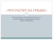 Презентация Что растет на грядке презентация к уроку по окружающему миру (младшая группа)