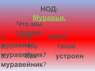 Презентация : Муравьи презентация к уроку по окружающему миру (подготовительная группа)